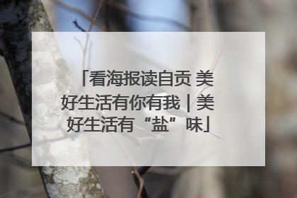 看海报读自贡 美好生活有你有我｜美好生活有“盐”味