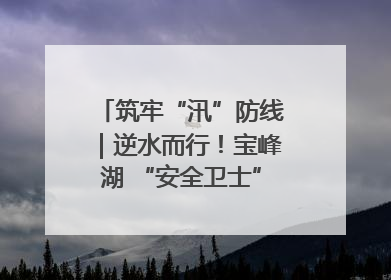 筑牢“汛”防线｜逆水而行！宝峰湖 “安全卫士” 出鞘 防汛应急再添硬核力量