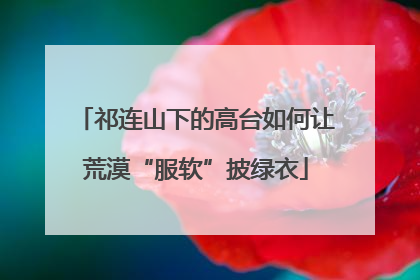 祁连山下的高台如何让荒漠“服软”披绿衣