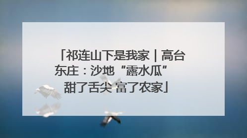 祁连山下是我家｜高台东庄：沙地“露水瓜” 甜了舌尖 富了农家