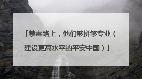 禁毒路上，他们够拼够专业（建设更高水平的平安中国）