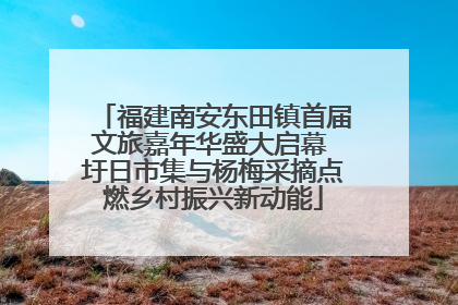 福建南安东田镇首届文旅嘉年华盛大启幕 圩日市集与杨梅采摘点燃乡村振兴新动能