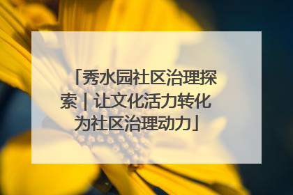秀水园社区治理探索｜让文化活力转化为社区治理动力