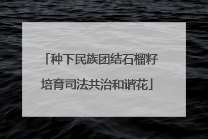 种下民族团结石榴籽 培育司法共治和谐花