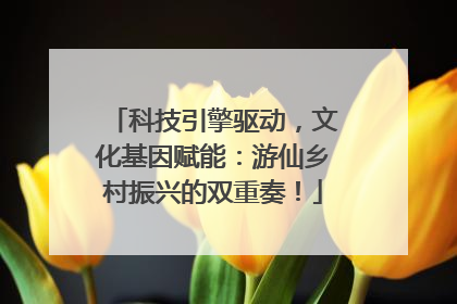科技引擎驱动，文化基因赋能：游仙乡村振兴的双重奏！
