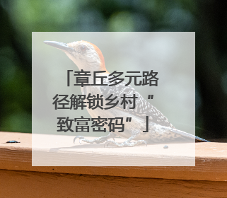 章丘多元路径解锁乡村“致富密码”