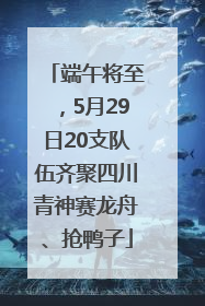 端午将至，5月29日20支队伍齐聚四川青神赛龙舟、抢鸭子