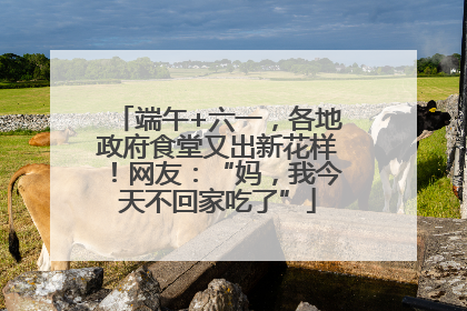 端午+六一，各地政府食堂又出新花样！网友：“妈，我今天不回家吃了”