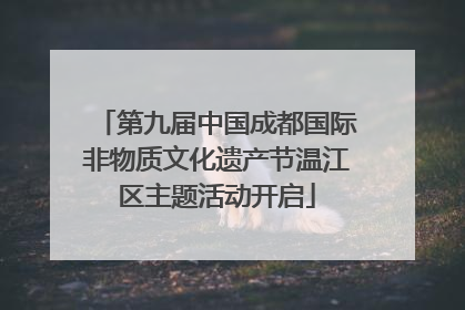 第九届中国成都国际非物质文化遗产节温江区主题活动开启