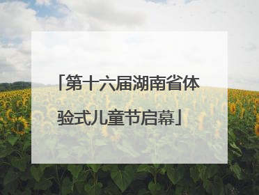 第十六届湖南省体验式儿童节启幕