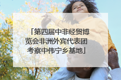 第四届中非经贸博览会非洲外宾代表团考察中伟宁乡基地