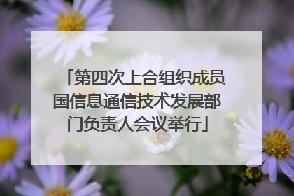 第四次上合组织成员国信息通信技术发展部门负责人会议举行