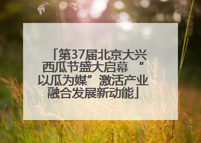 第37届北京大兴西瓜节盛大启幕 “以瓜为媒”激活产业融合发展新动能