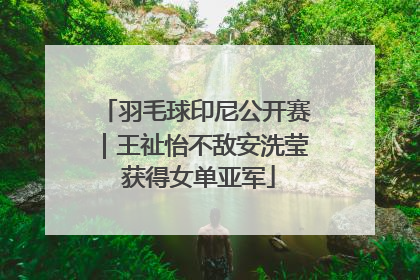 羽毛球印尼公开赛｜王祉怡不敌安洗莹 获得女单亚军