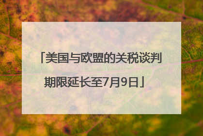 美国与欧盟的关税谈判期限延长至7月9日