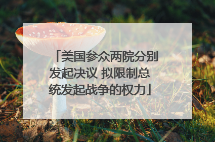 美国参众两院分别发起决议 拟限制总统发起战争的权力