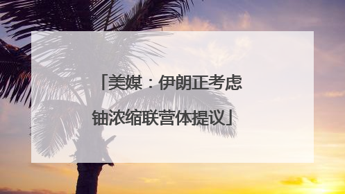 美媒：伊朗正考虑铀浓缩联营体提议
