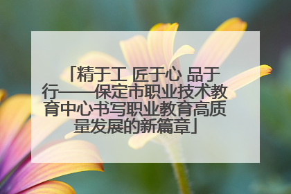 精于工 匠于心 品于行——保定市职业技术教育中心书写职业教育高质量发展的新篇章