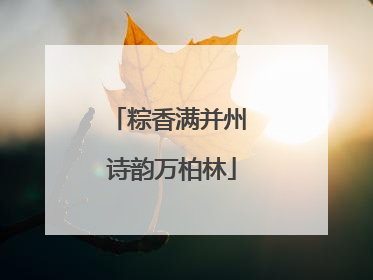 粽香满并州 诗韵万柏林