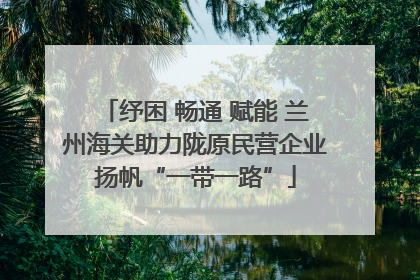 纾困 畅通 赋能 兰州海关助力陇原民营企业扬帆“一带一路”