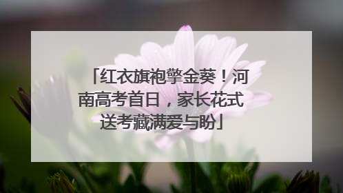 红衣旗袍擎金葵！河南高考首日，家长花式送考藏满爱与盼