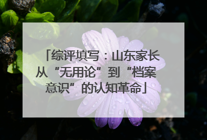 综评填写：山东家长从“无用论”到“档案意识”的认知革命