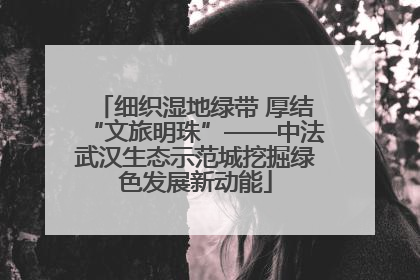 细织湿地绿带 厚结“文旅明珠”——中法武汉生态示范城挖掘绿色发展新动能