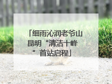 细雨沁润老爷山 昆明“清洁十峰”首站启程