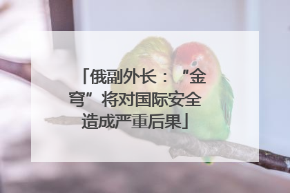 俄副外长：“金穹”将对国际安全造成严重后果