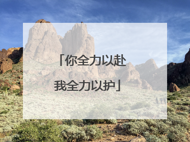 你全力以赴 我全力以护