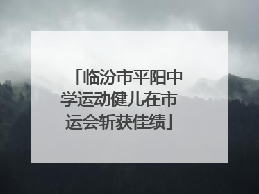 临汾市平阳中学运动健儿在市运会斩获佳绩