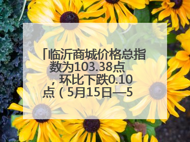 临沂商城价格总指数为103.38点，环比下跌0.10点（5月15日—5月21日）