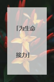 为生命接力