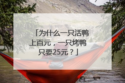 为什么一只活鸭上百元，一只烤鸭只要25元？