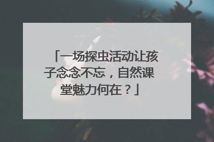 一场探虫活动让孩子念念不忘，自然课堂魅力何在？