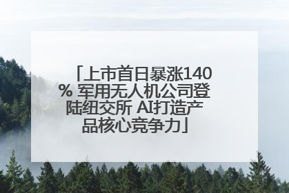 上市首日暴涨140% 军用无人机公司登陆纽交所 AI打造产品核心竞争力