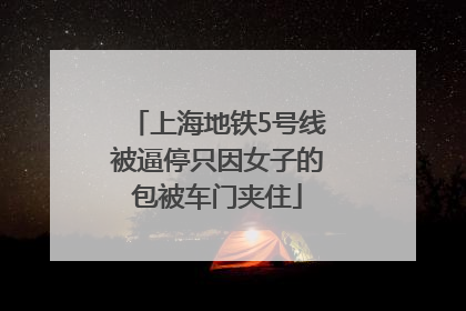 上海地铁5号线被逼停只因女子的包被车门夹住