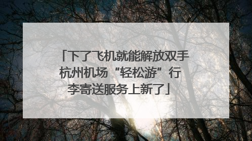 下了飞机就能解放双手 杭州机场“轻松游”行李寄送服务上新了
