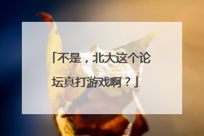 不是，北大这个论坛真打游戏啊？