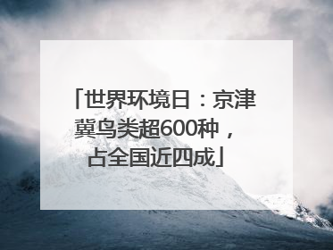 世界环境日：京津冀鸟类超600种，占全国近四成