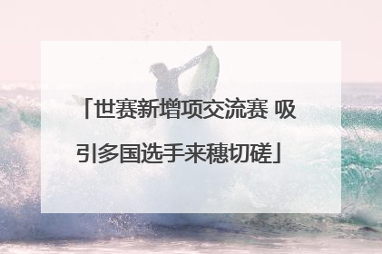 世赛新增项交流赛 吸引多国选手来穗切磋
