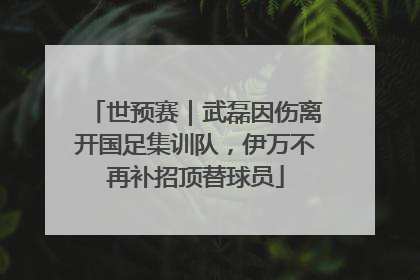 世预赛｜武磊因伤离开国足集训队，伊万不再补招顶替球员