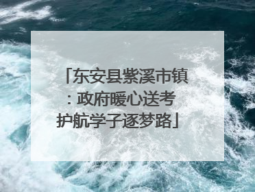 东安县紫溪市镇：政府暖心送考 护航学子逐梦路