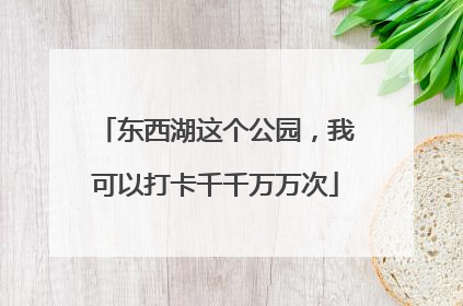 东西湖这个公园，我可以打卡千千万万次