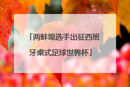 两蚌埠选手出征西班牙桌式足球世界杯