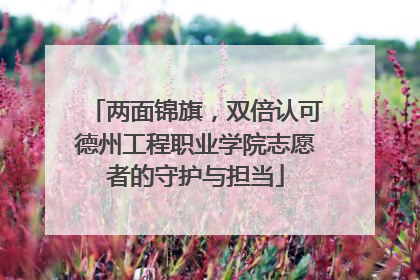 两面锦旗，双倍认可德州工程职业学院志愿者的守护与担当