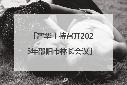 严华主持召开2025年邵阳市林长会议