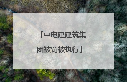 中电建建筑集团被罚被执行