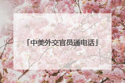 中美外交官员通电话