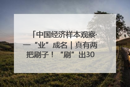 中国经济样本观察·一“业”成名｜真有两把刷子！“刷”出30亿级“颜值经济”